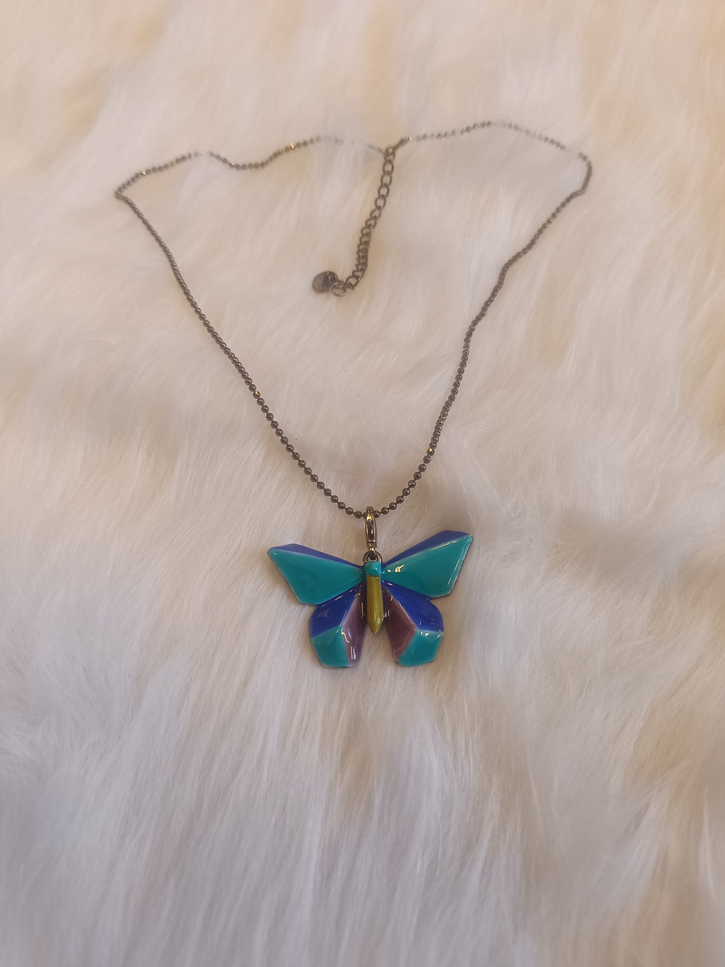 Papillon