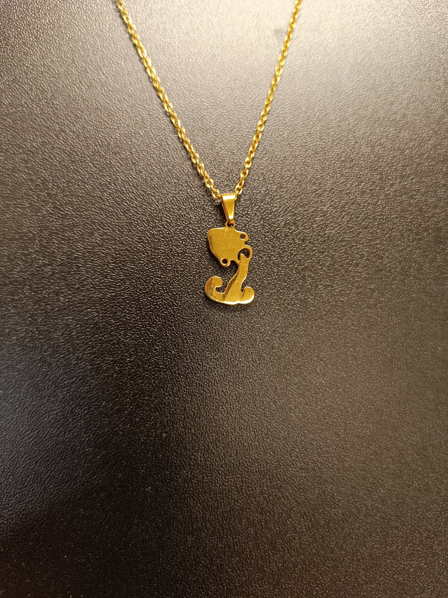 Collier signe verseau