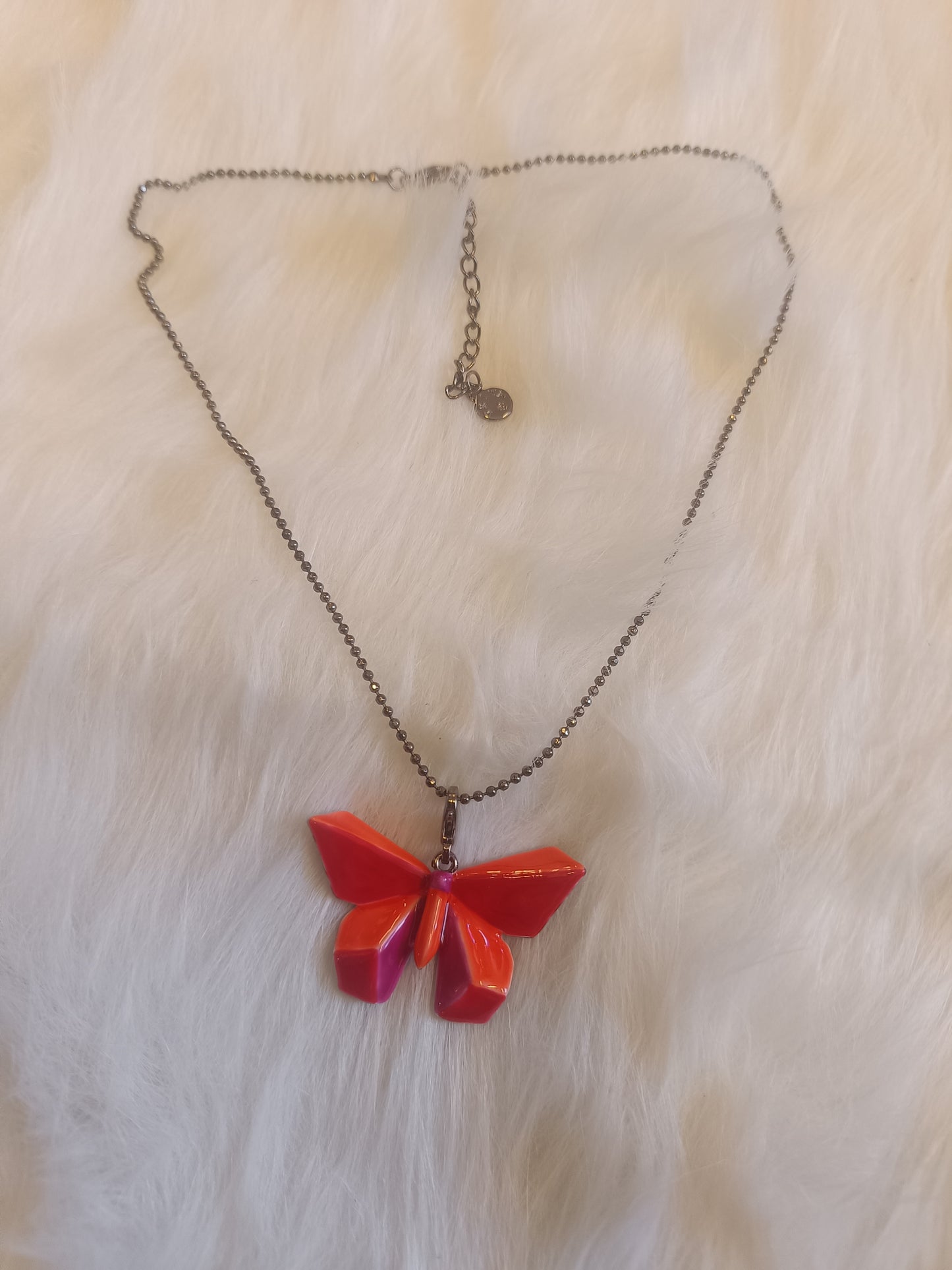 Papillon