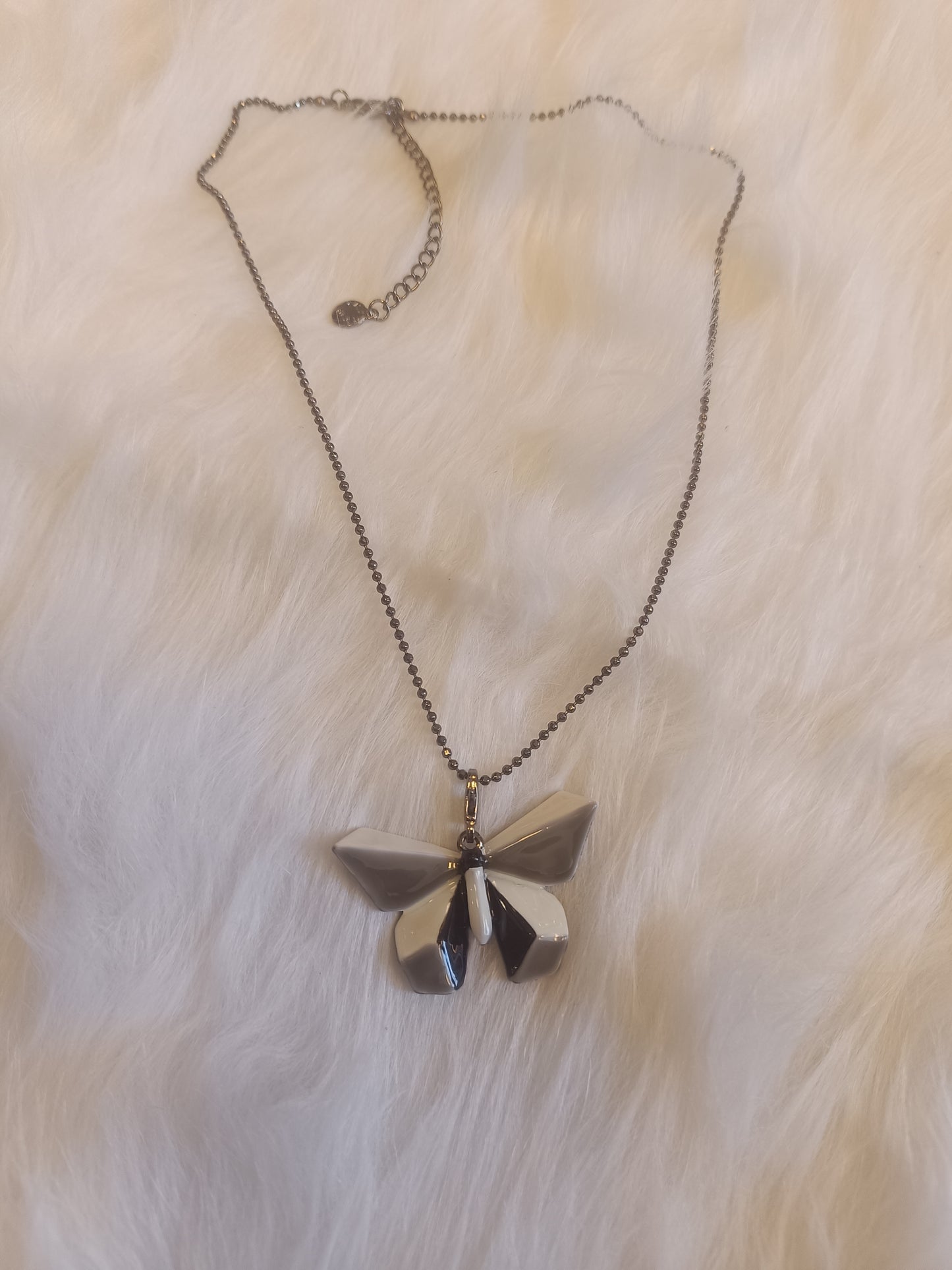Papillon