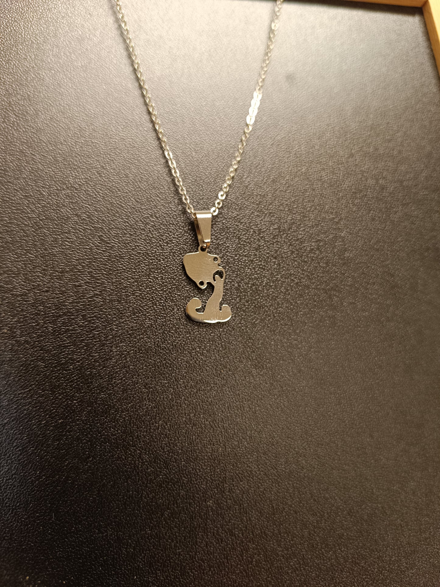 Collier signe verseau
