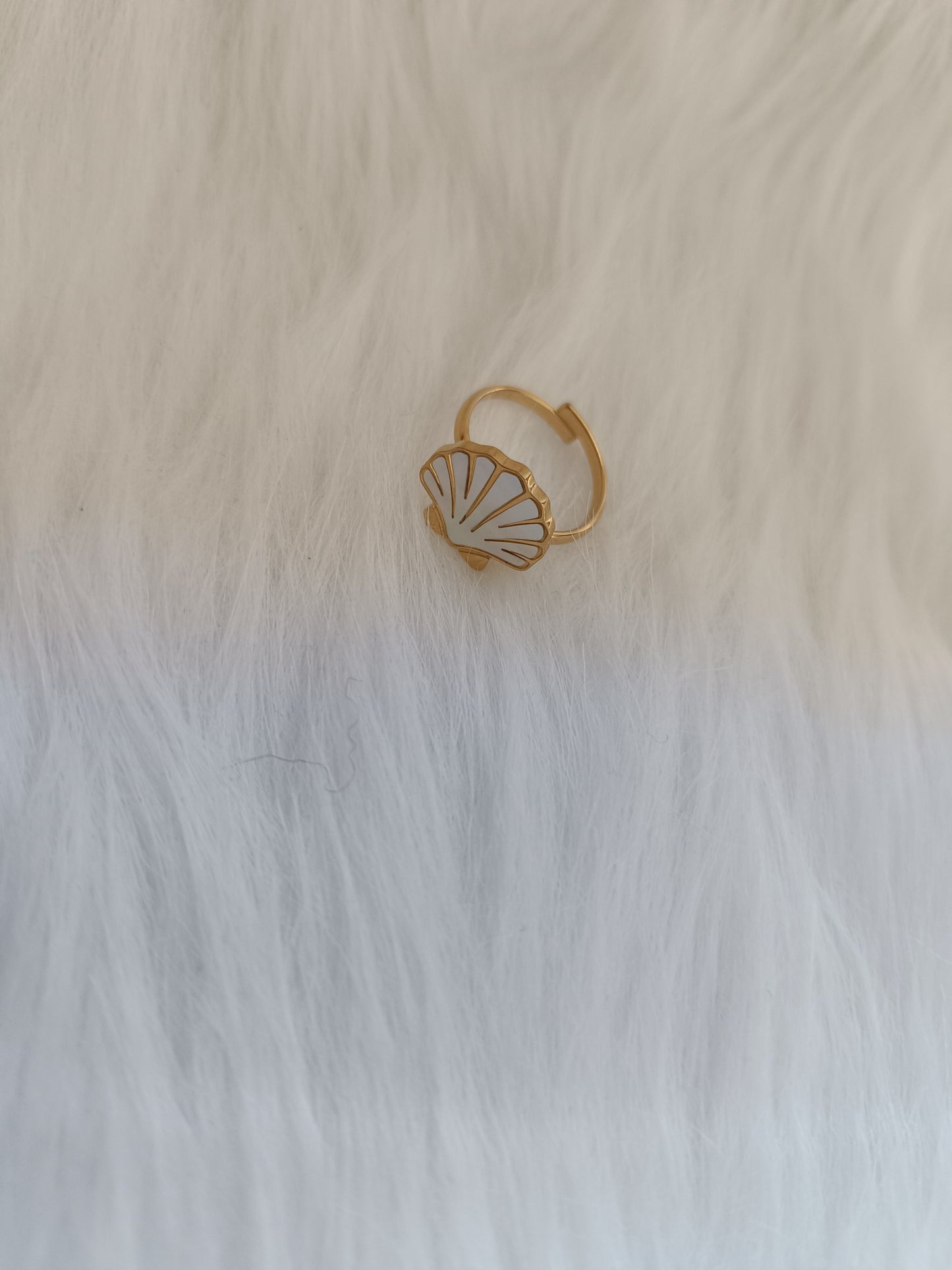 Bague saint jacques